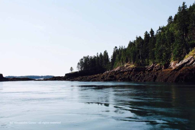 canadamaine_theescapediaries-com293