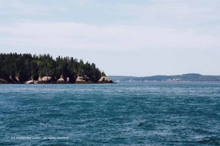 canadamaine_theescapediaries-com296