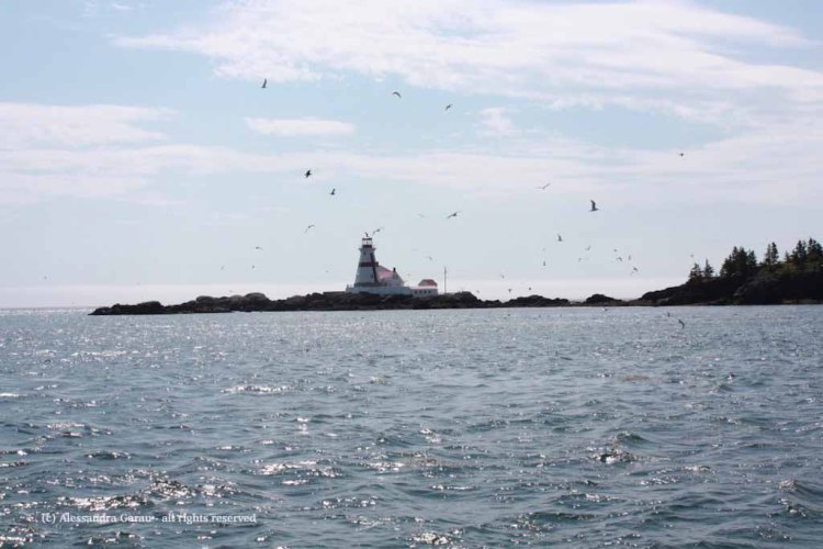 canadamaine_theescapediaries-com299