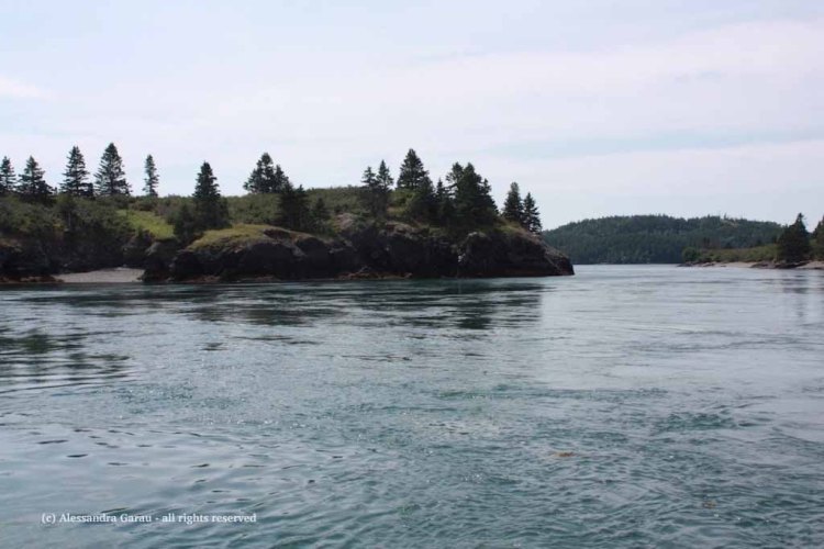 canadamaine_theescapediaries-com301