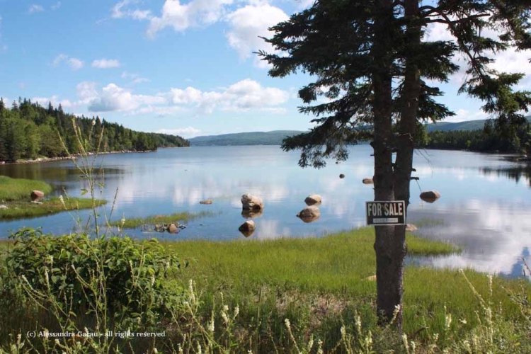 canadamaine_theescapediaries-com348