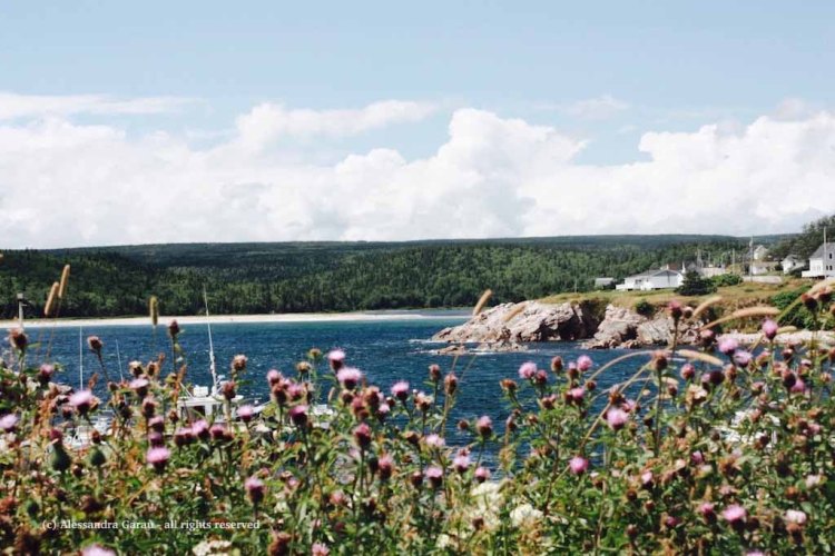 canadamaine_theescapediaries-com351