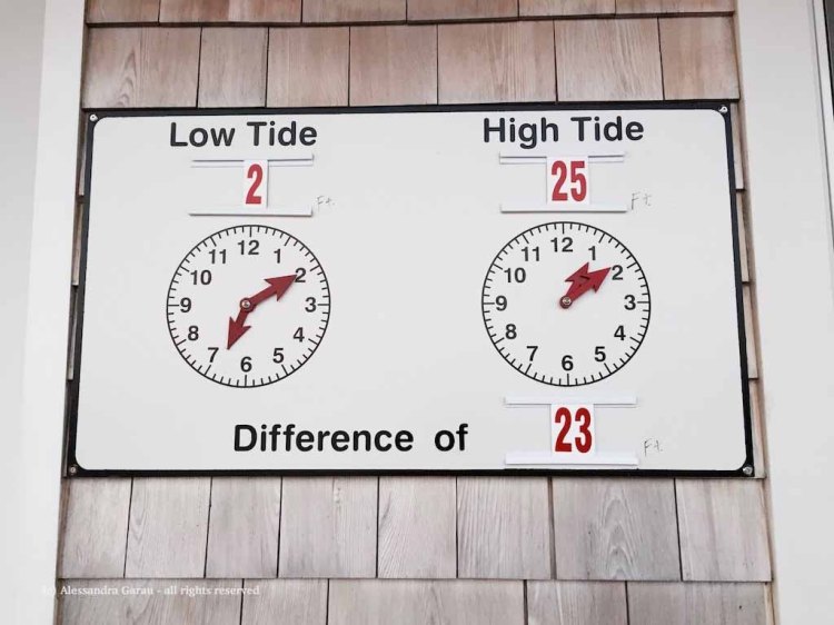 canadamaine_theescapediaries-com61