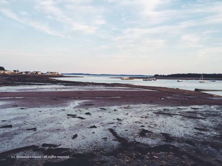 Processed with VSCO with f2 preset