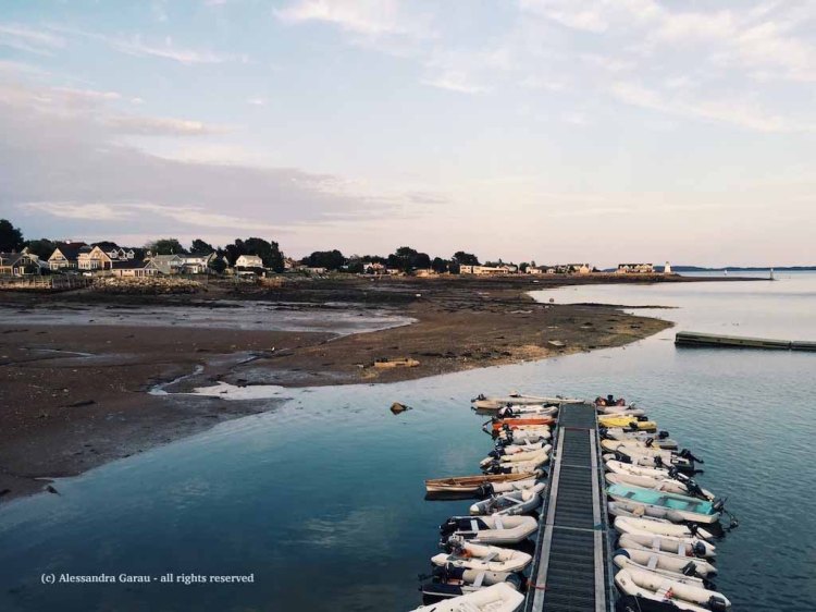 Processed with VSCO with g3 preset