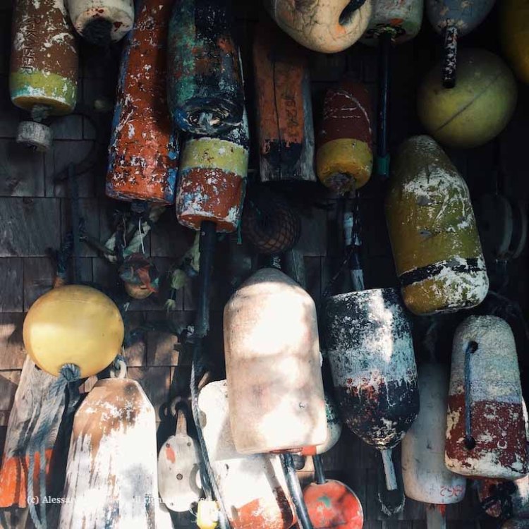 Processed with VSCO with g3 preset