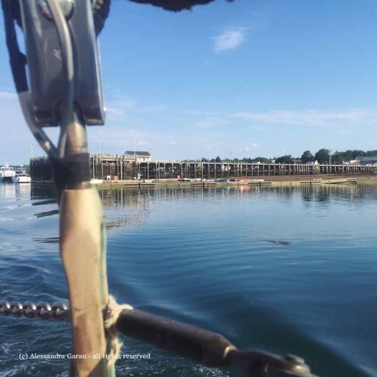 Processed with VSCO with f2 preset