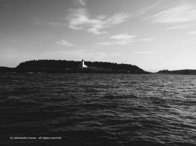 Processed with VSCO with b5 preset