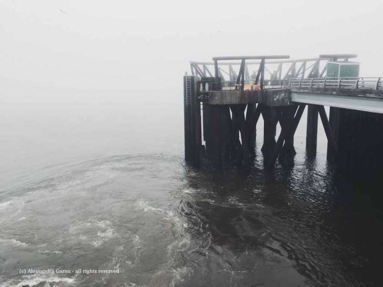 Processed with VSCO with f2 preset