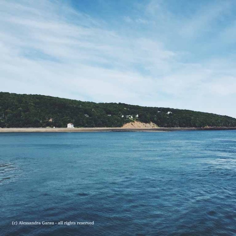 Processed with VSCO with f2 preset