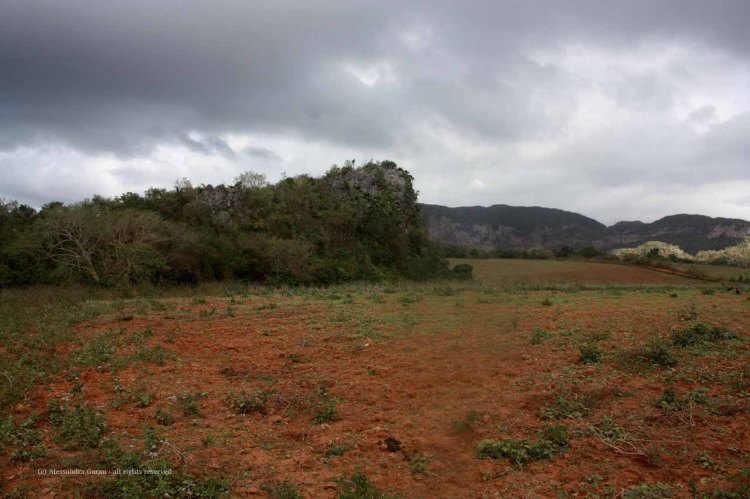 the_escape_diaries_cuba227