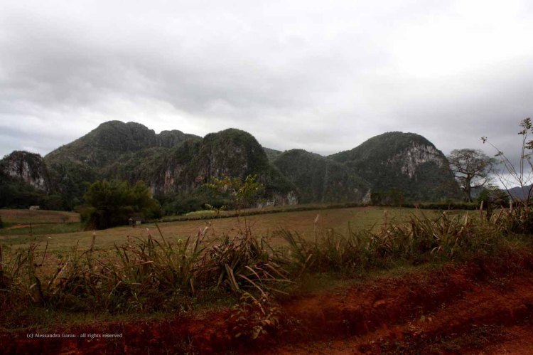 the_escape_diaries_cuba228