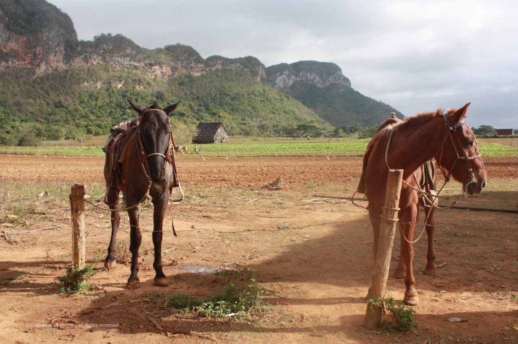 the_escape_diaries_cuba232