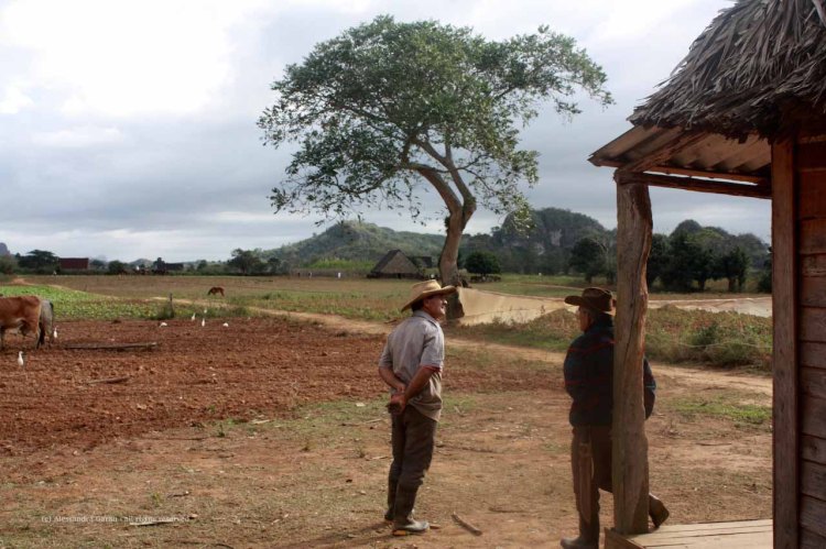 the_escape_diaries_cuba241