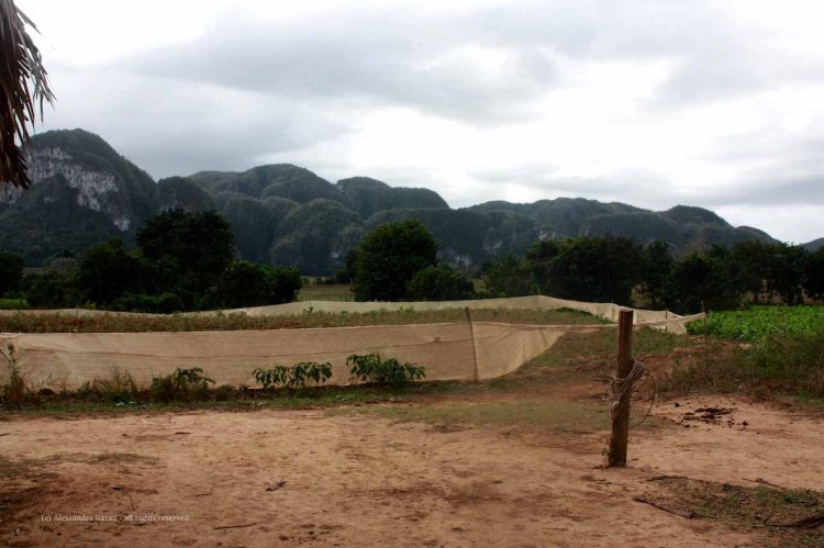 the_escape_diaries_cuba243