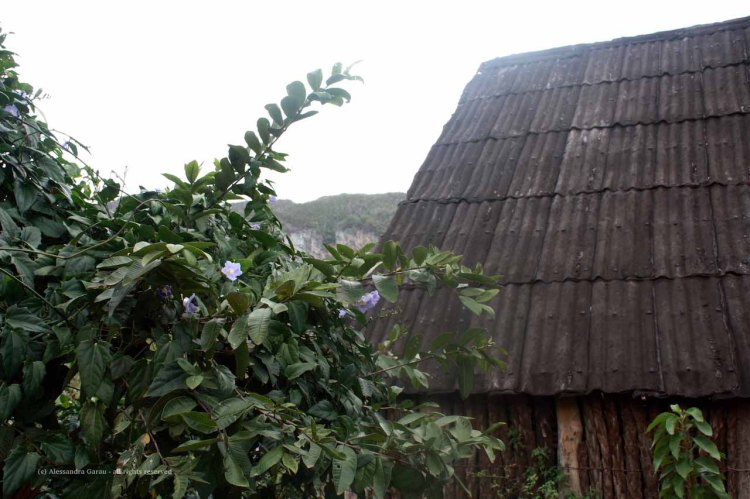 the_escape_diaries_cuba245