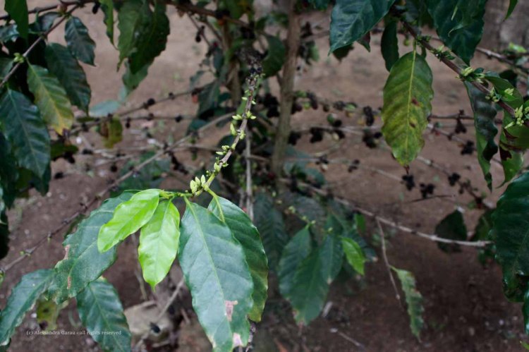 the_escape_diaries_cuba246