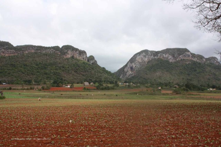 the_escape_diaries_cuba250