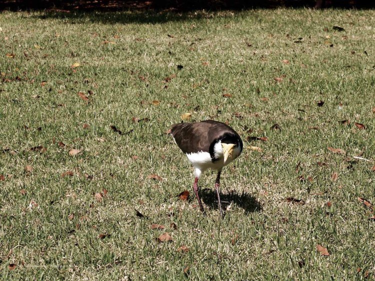 The_Escape_Diaries_Sydney17