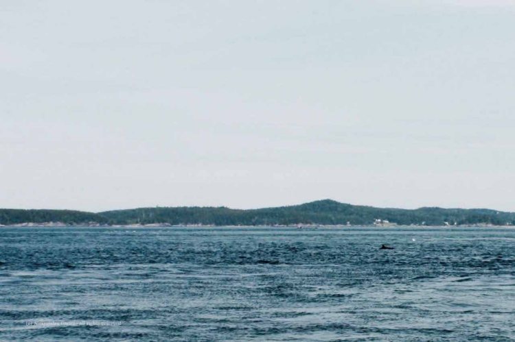 The_Escape_Diaries_Canada&Maine201